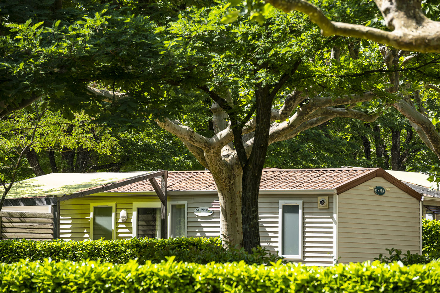 Standard Plus Mobile Home